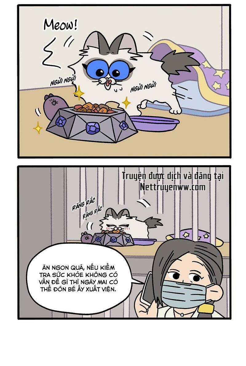 A Mãn Và Mạch Trà Chapter 48.1 - 4