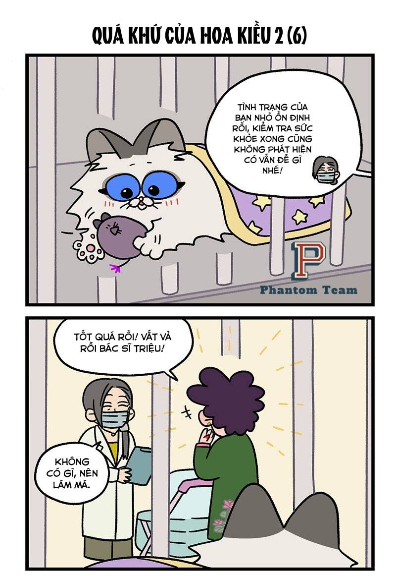 A Mãn Và Mạch Trà Chapter 48.1 - 5