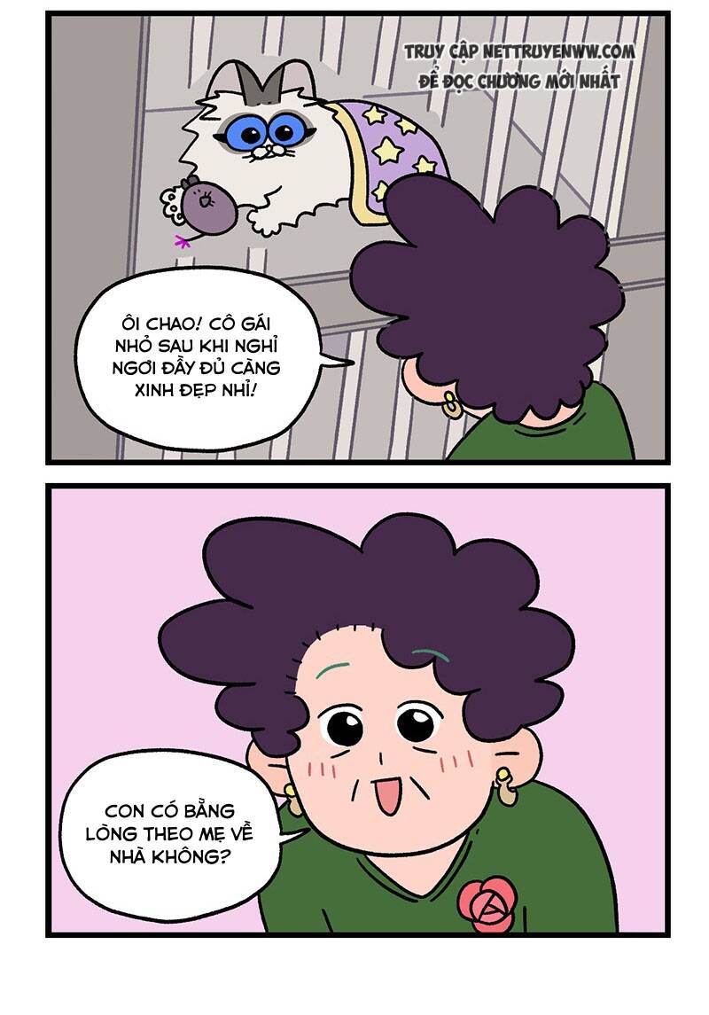 A Mãn Và Mạch Trà Chapter 48.1 - 6