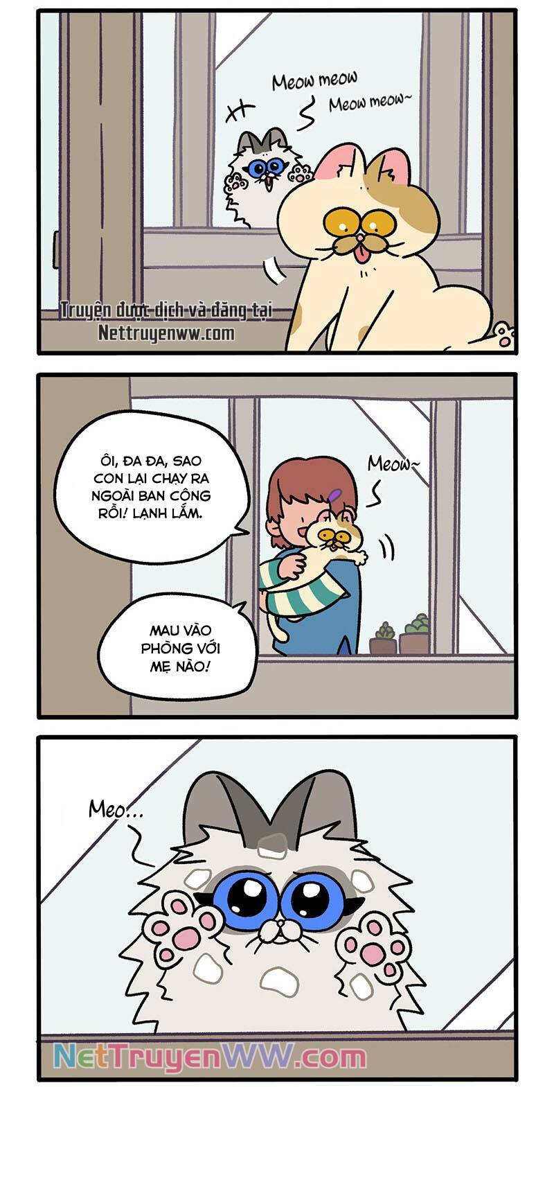 A Mãn Và Mạch Trà Chapter 48 - 2