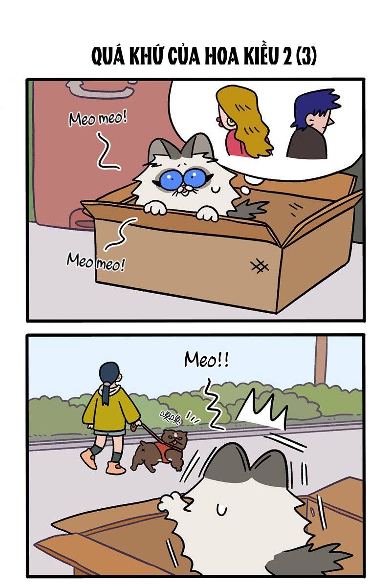 A Mãn Và Mạch Trà Chapter 48 - 5