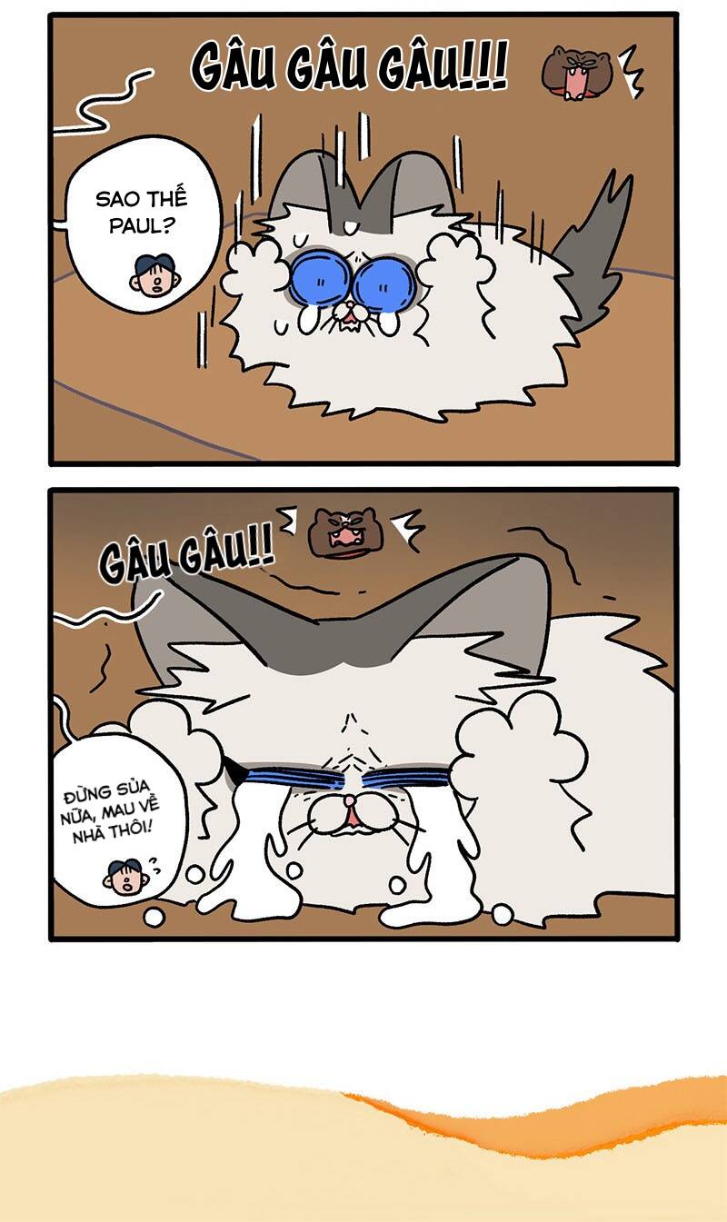 A Mãn Và Mạch Trà Chapter 48 - 6