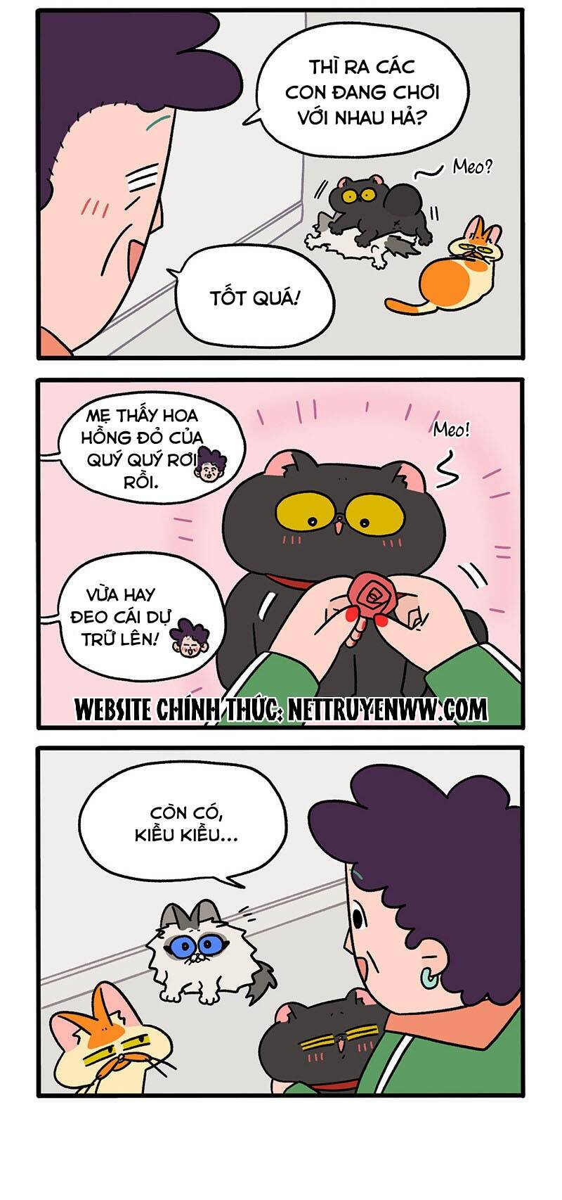 A Mãn Và Mạch Trà Chapter 49.1 - 2