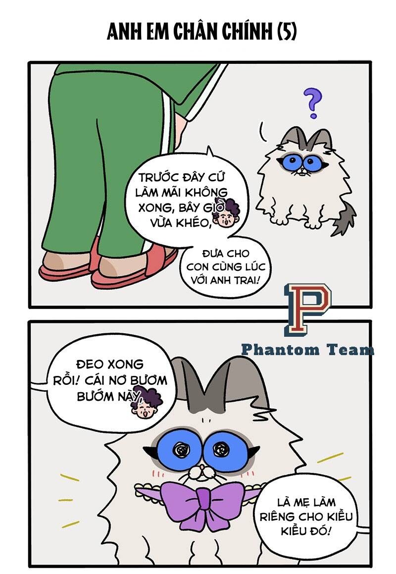 A Mãn Và Mạch Trà Chapter 49.1 - 3