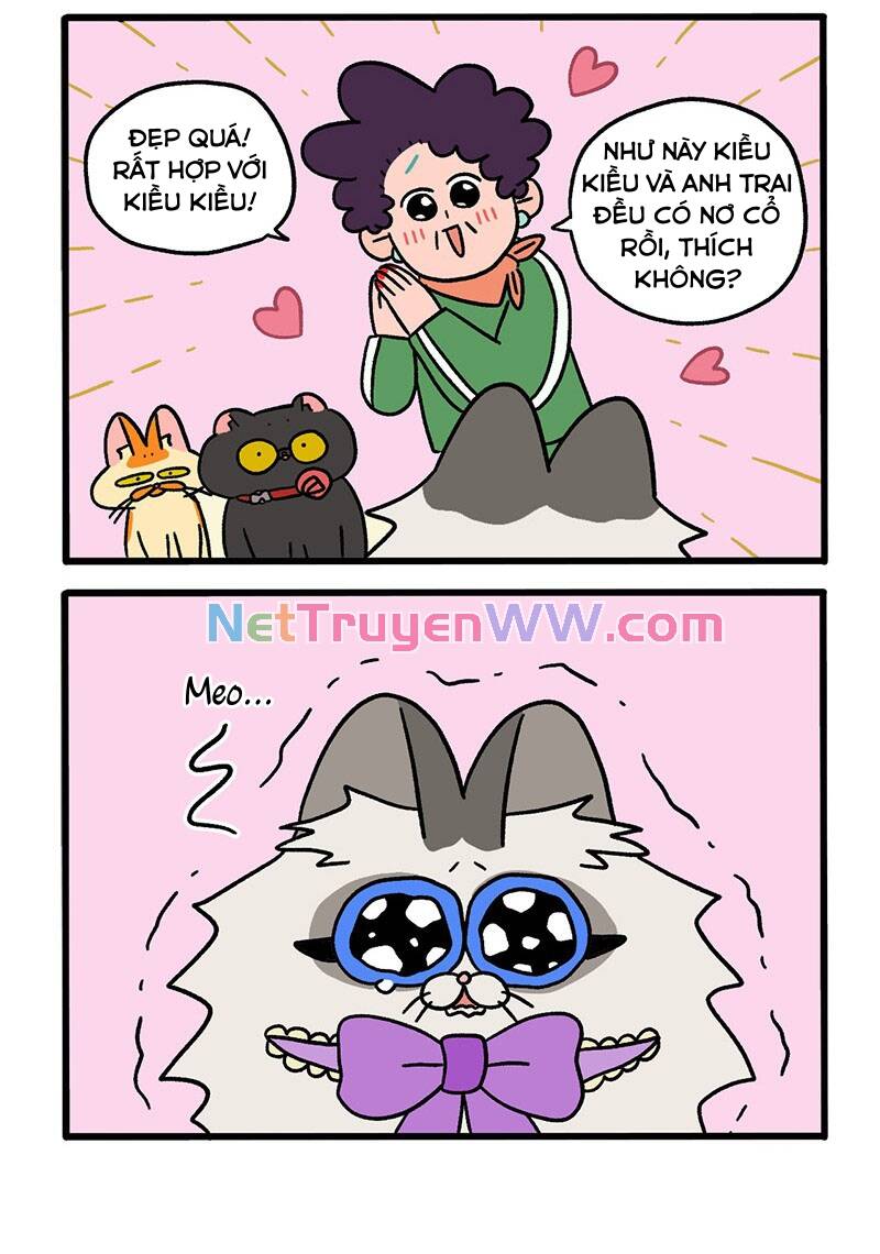 A Mãn Và Mạch Trà Chapter 49.1 - 4