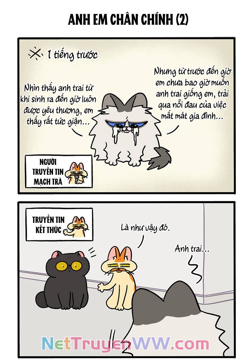 A Mãn Và Mạch Trà Chapter 49 - 3