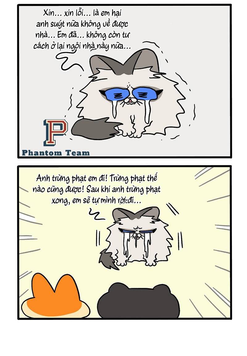 A Mãn Và Mạch Trà Chapter 49 - 4
