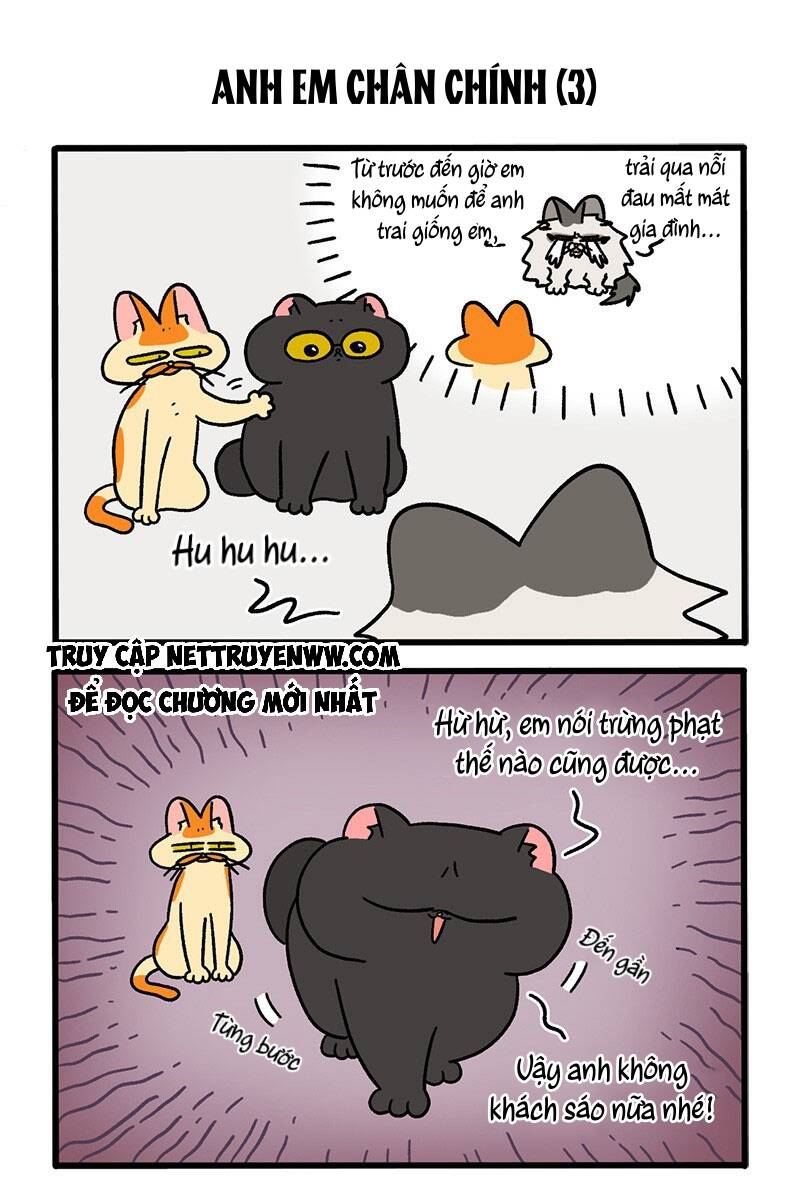 A Mãn Và Mạch Trà Chapter 49 - 5