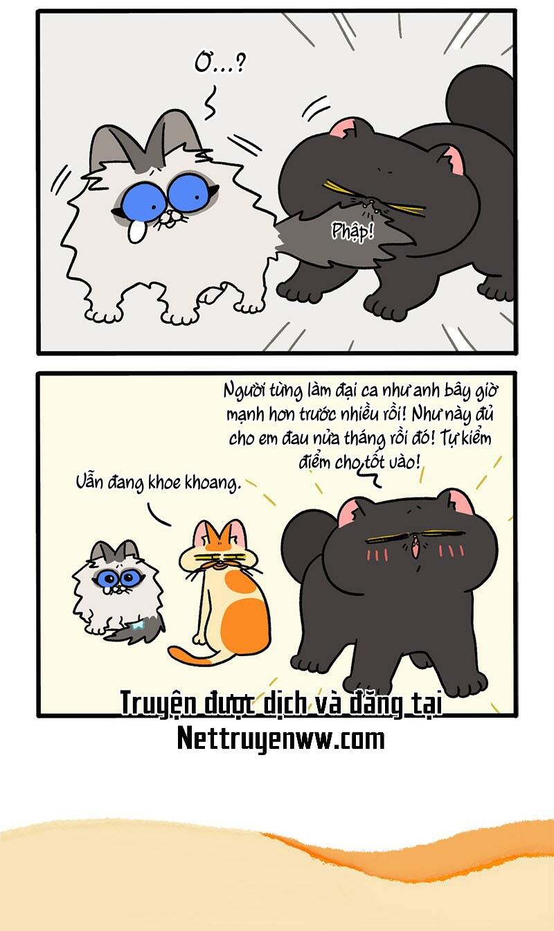 A Mãn Và Mạch Trà Chapter 49 - 6