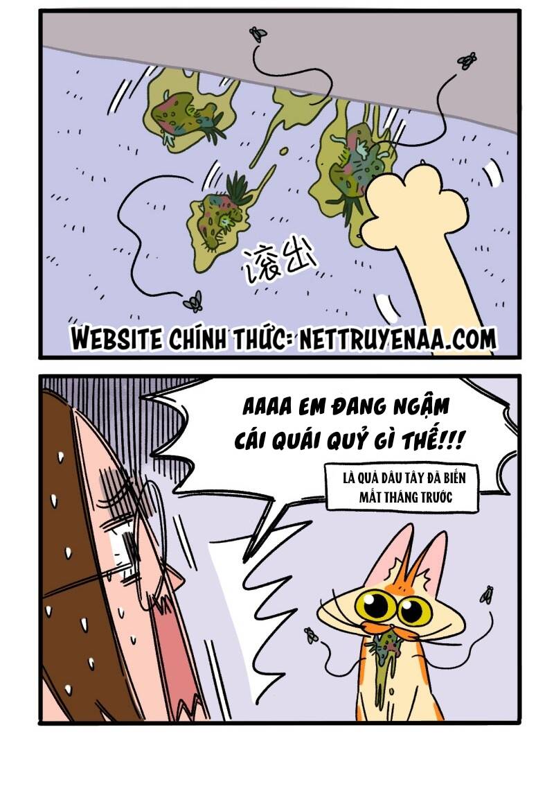 A Mãn Và Mạch Trà Chapter 5 - 4