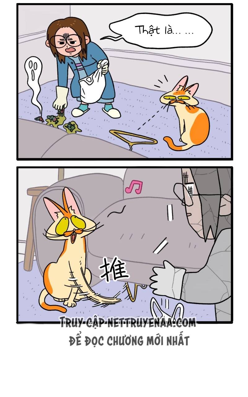 A Mãn Và Mạch Trà Chapter 5 - 6