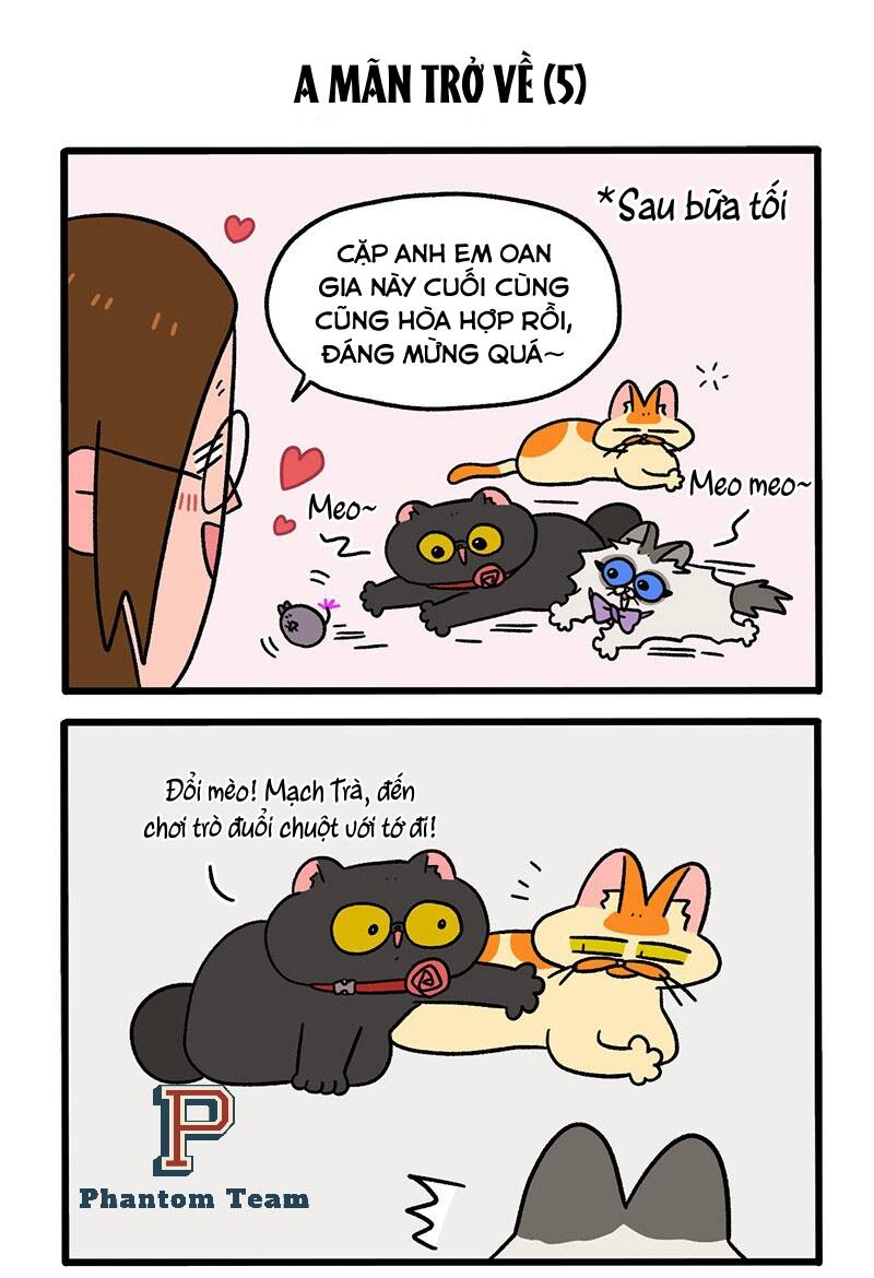 A Mãn Và Mạch Trà Chapter 50.1 - 3