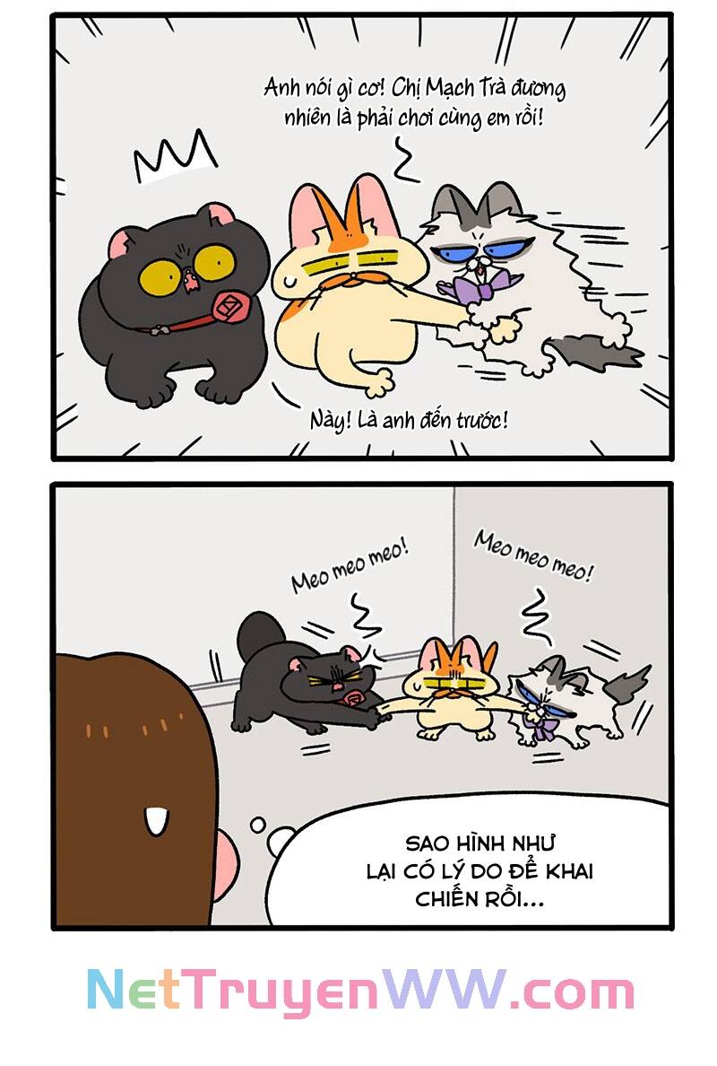 A Mãn Và Mạch Trà Chapter 50.1 - 4