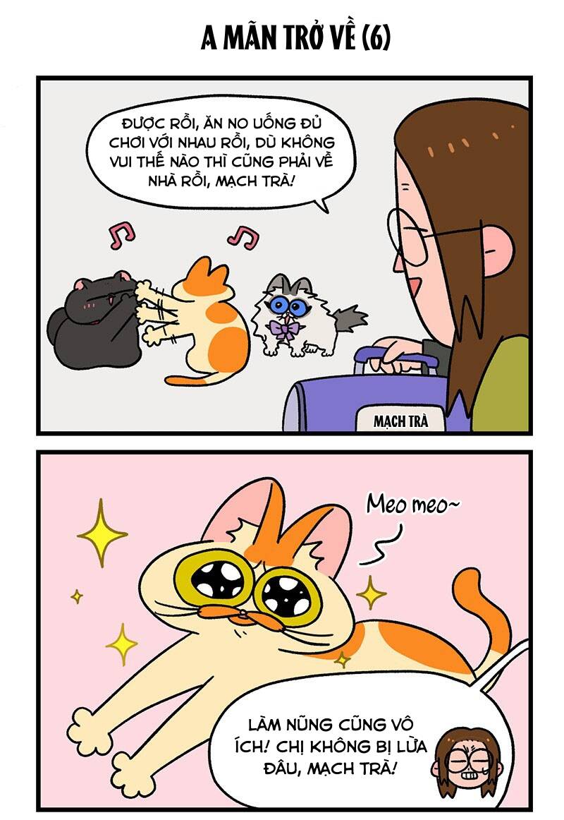A Mãn Và Mạch Trà Chapter 50.1 - 5