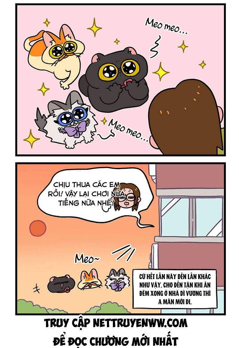 A Mãn Và Mạch Trà Chapter 50.1 - 6