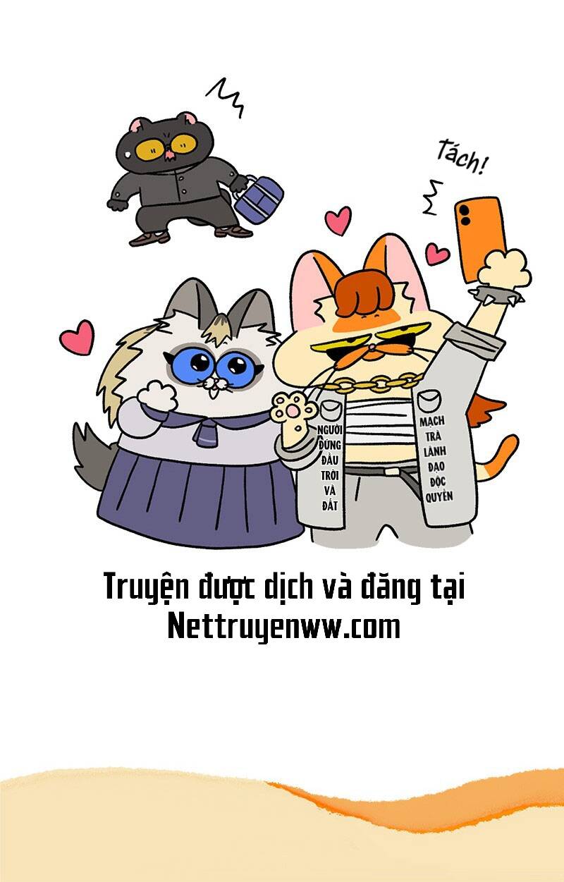 A Mãn Và Mạch Trà Chapter 50.1 - 7