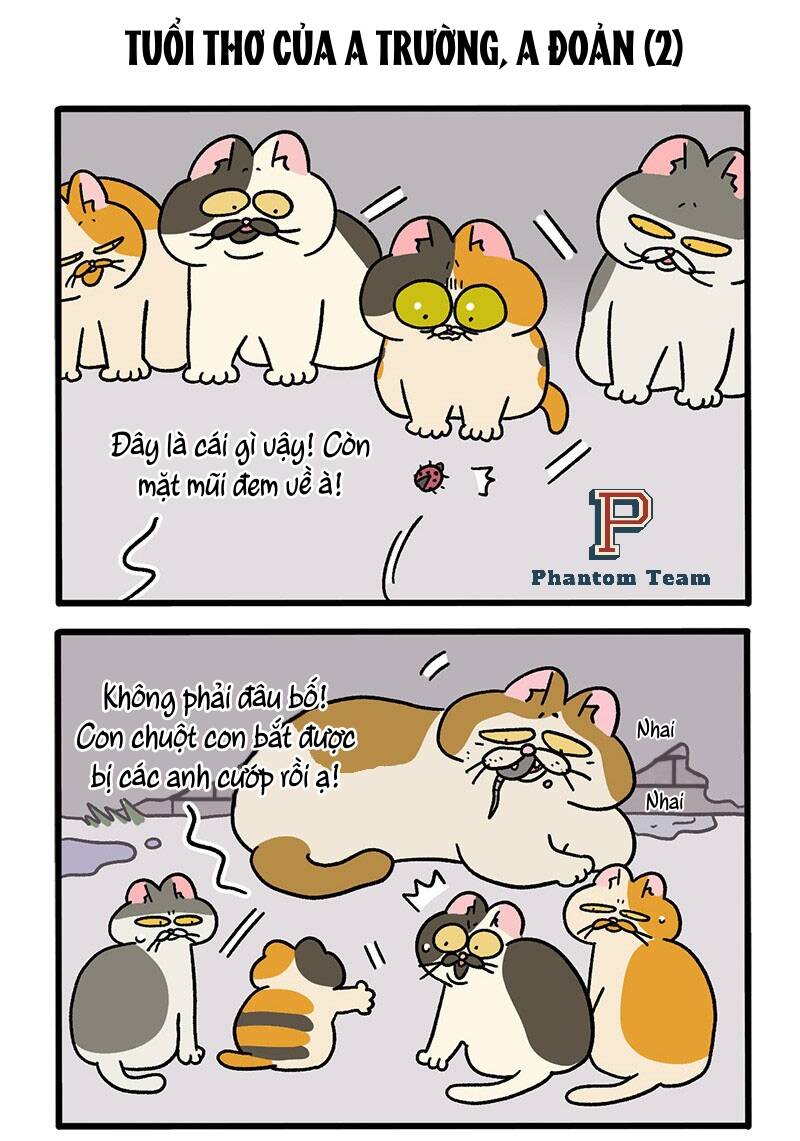 A Mãn Và Mạch Trà Chapter 50.2 - 3