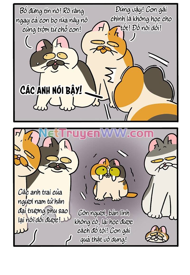 A Mãn Và Mạch Trà Chapter 50.2 - 4