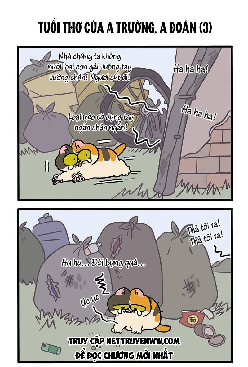 A Mãn Và Mạch Trà Chapter 50.2 - 5