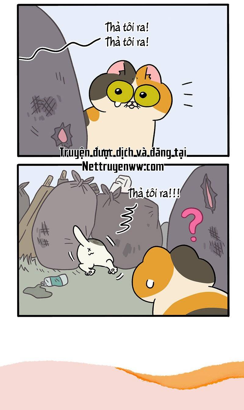 A Mãn Và Mạch Trà Chapter 50.2 - 6