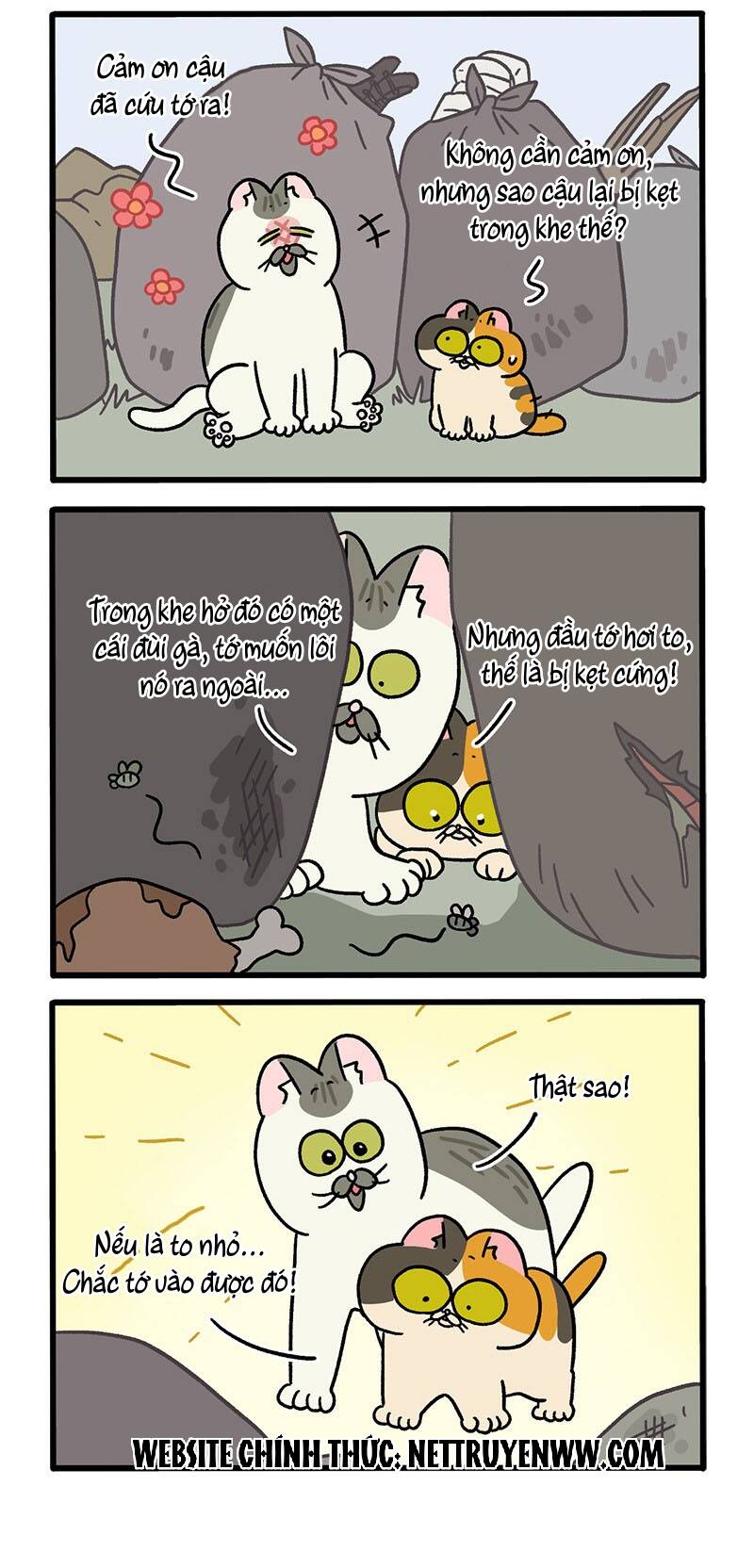 A Mãn Và Mạch Trà Chapter 50.3 - 2