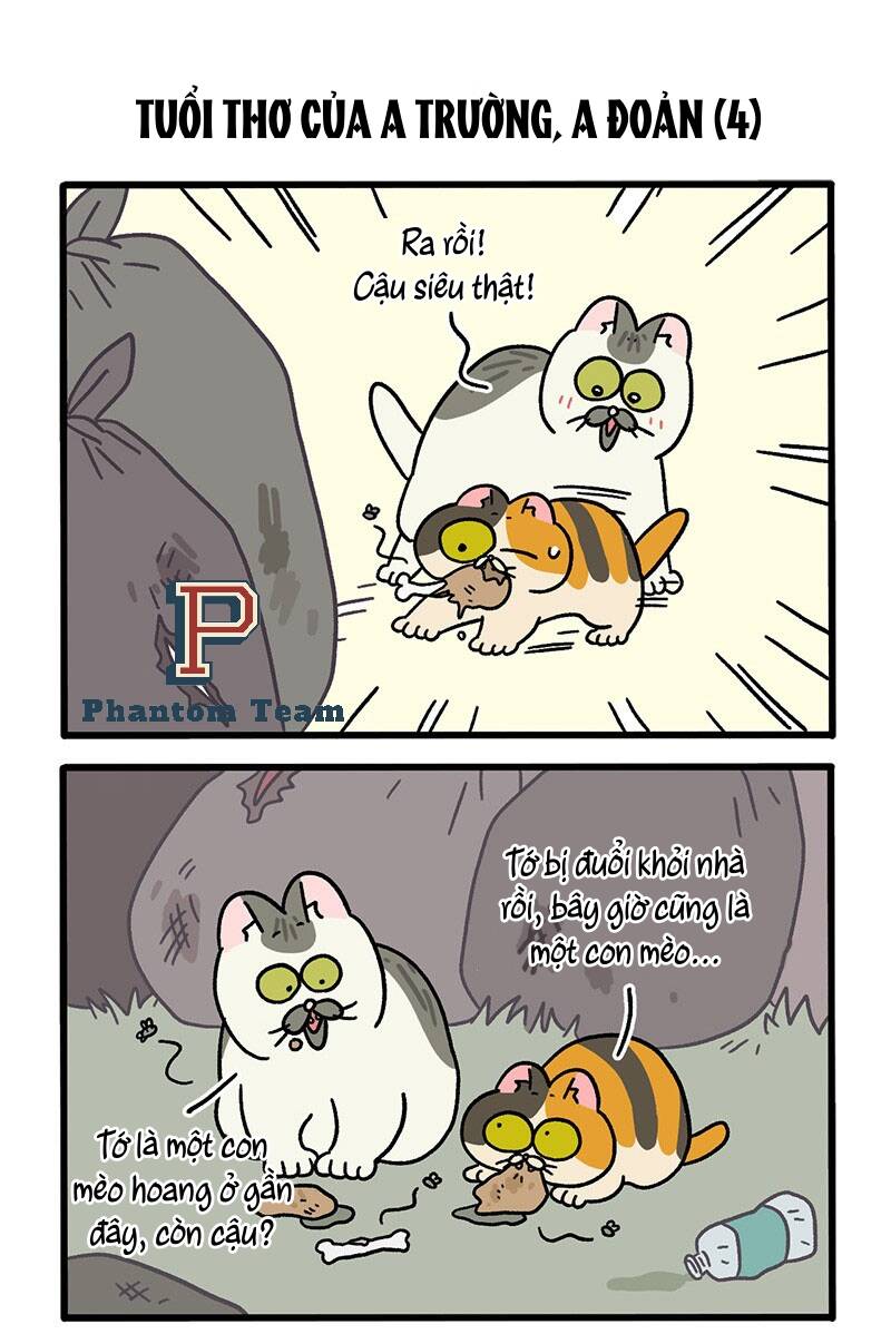 A Mãn Và Mạch Trà Chapter 50.3 - 3
