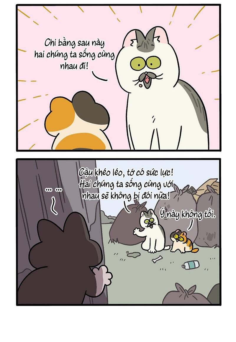 A Mãn Và Mạch Trà Chapter 50.3 - 4