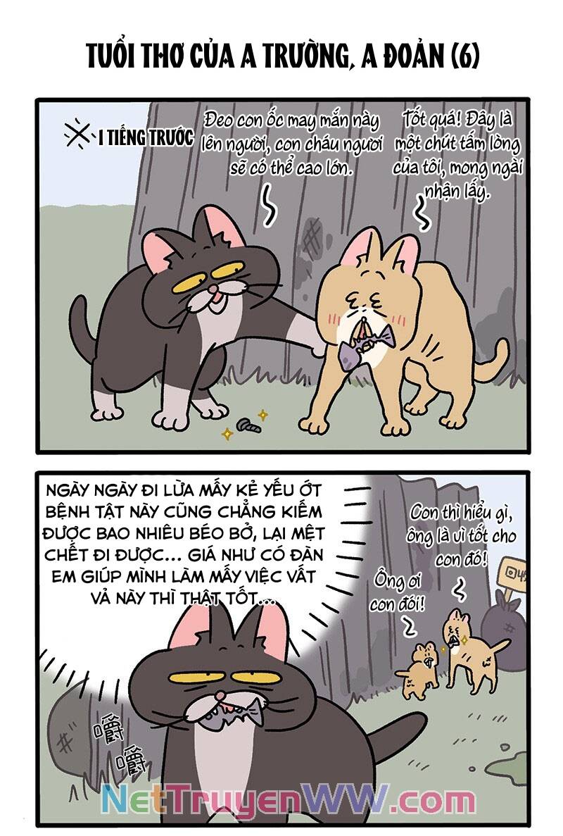 A Mãn Và Mạch Trà Chapter 50.3 - 5