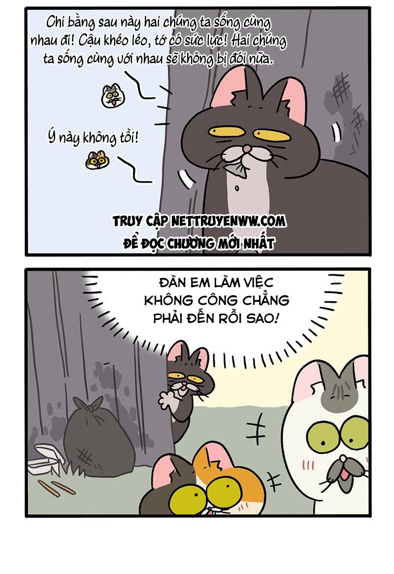 A Mãn Và Mạch Trà Chapter 50.3 - 6