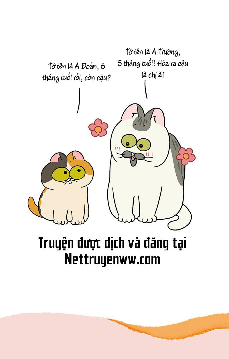 A Mãn Và Mạch Trà Chapter 50.3 - 7