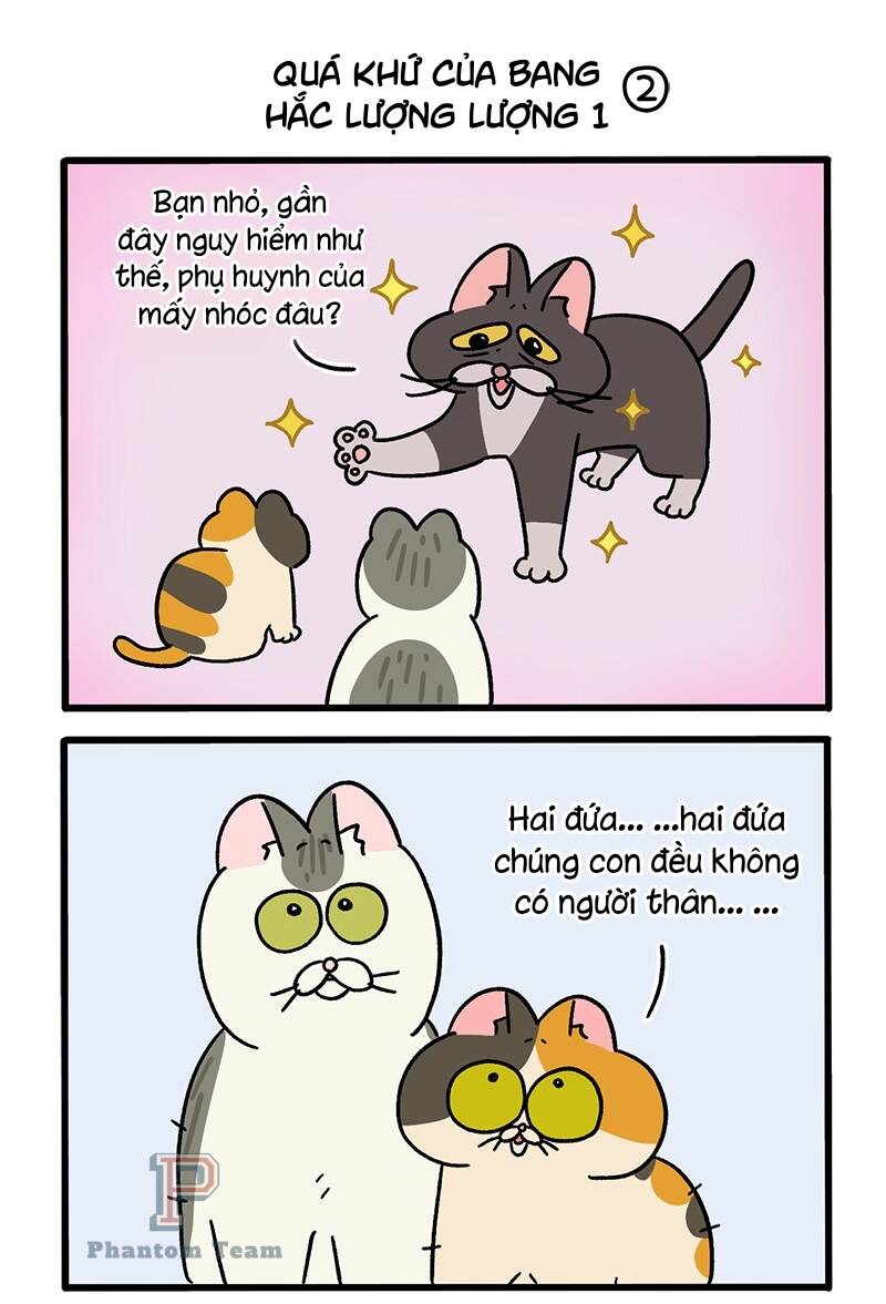 A Mãn Và Mạch Trà Chapter 50.4 - 3