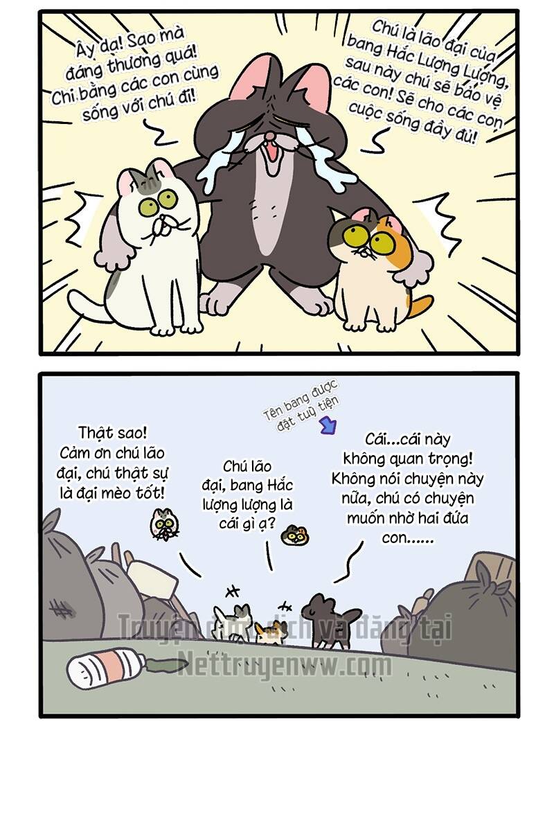 A Mãn Và Mạch Trà Chapter 50.4 - 4