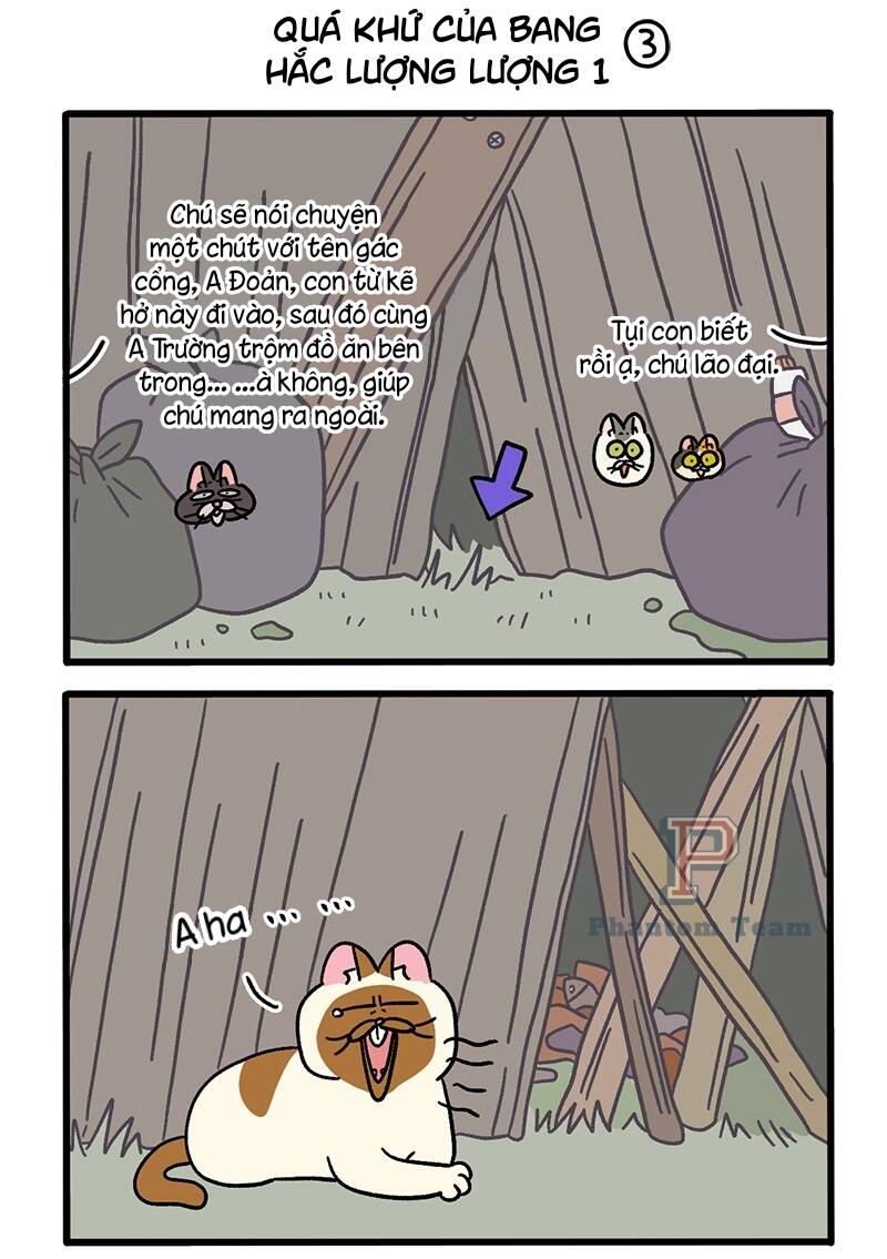 A Mãn Và Mạch Trà Chapter 50.4 - 5