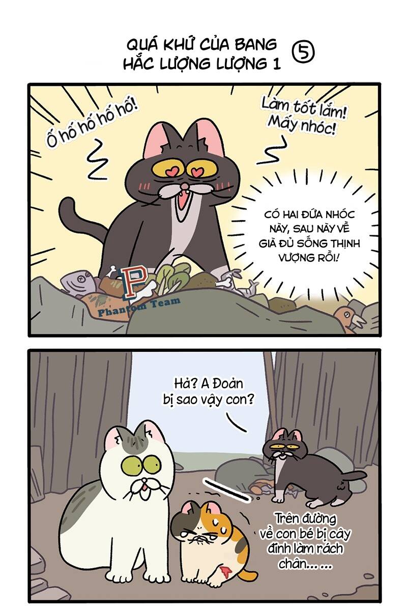 A Mãn Và Mạch Trà Chapter 50.5 - 3