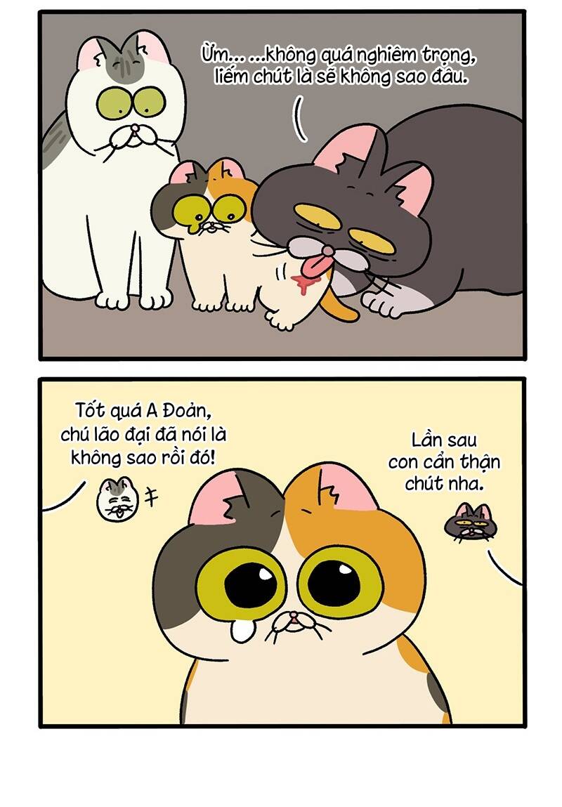 A Mãn Và Mạch Trà Chapter 50.5 - 4