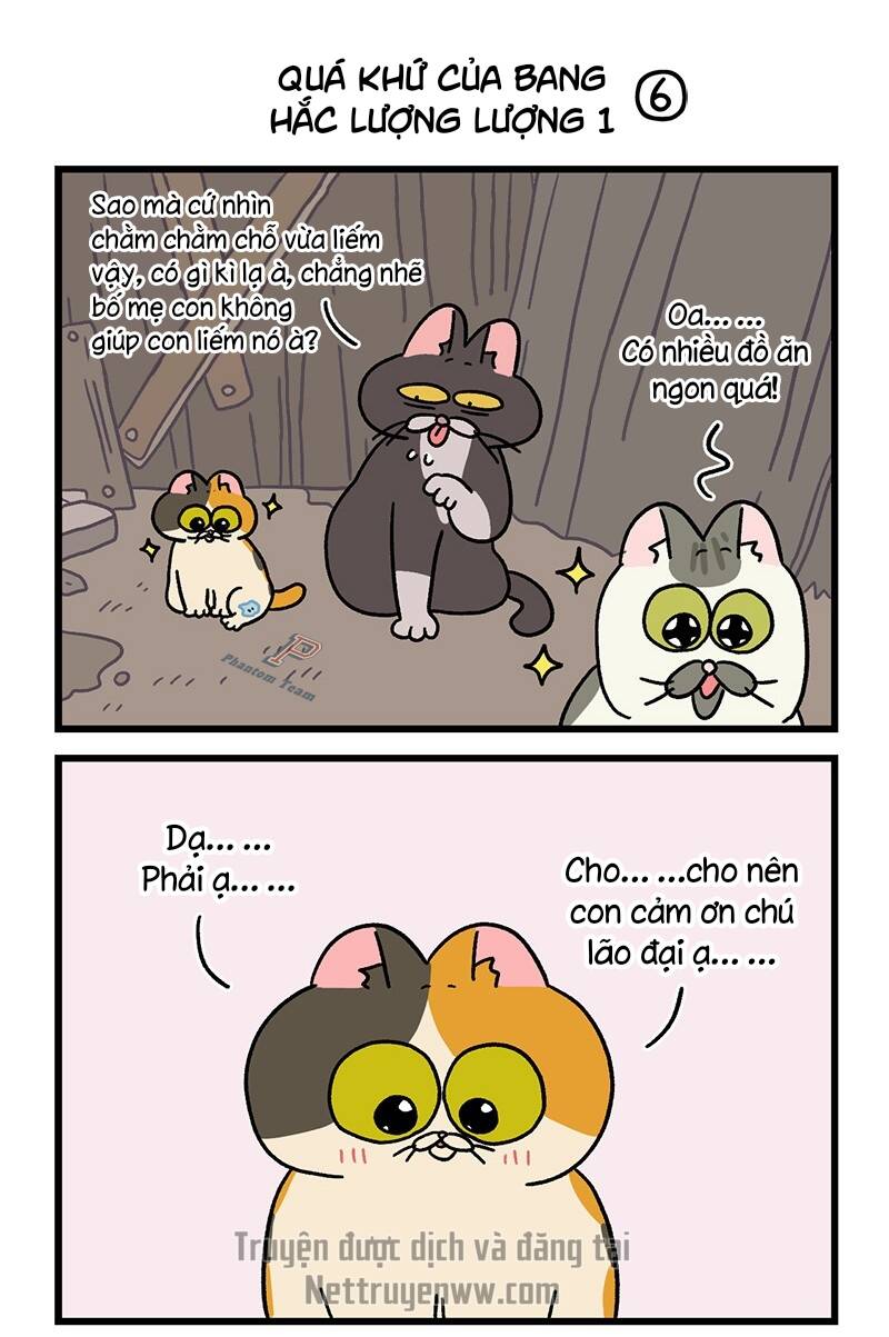 A Mãn Và Mạch Trà Chapter 50.5 - 5