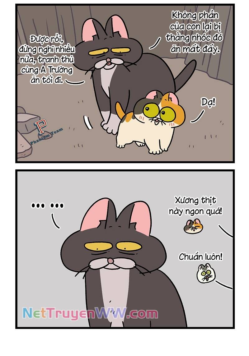 A Mãn Và Mạch Trà Chapter 50.5 - 6