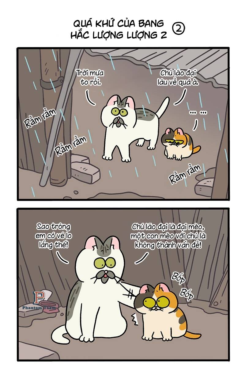 A Mãn Và Mạch Trà Chapter 50.6 - 3