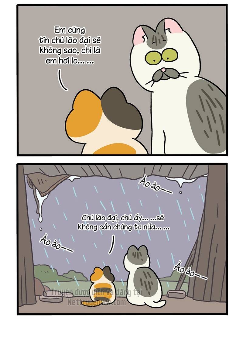 A Mãn Và Mạch Trà Chapter 50.6 - 4