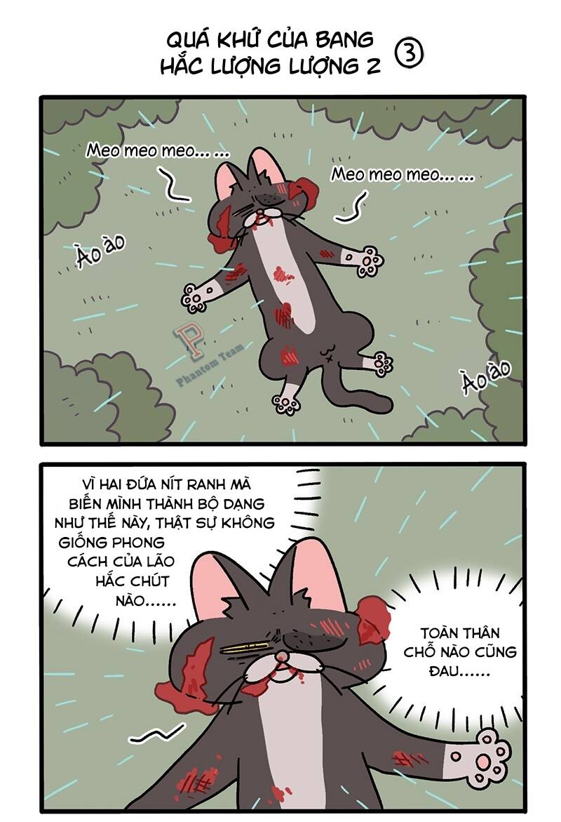 A Mãn Và Mạch Trà Chapter 50.6 - 5