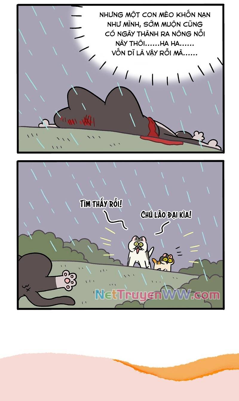 A Mãn Và Mạch Trà Chapter 50.6 - 6