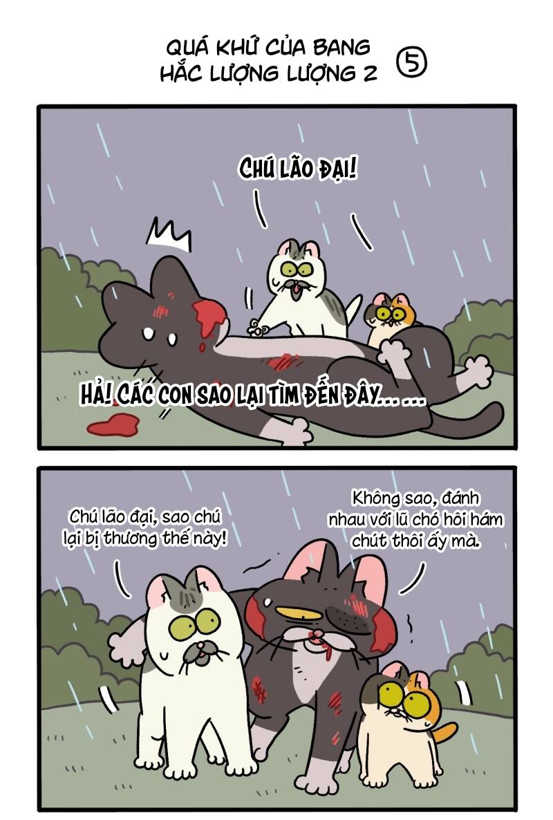 A Mãn Và Mạch Trà Chapter 50.7 - 3