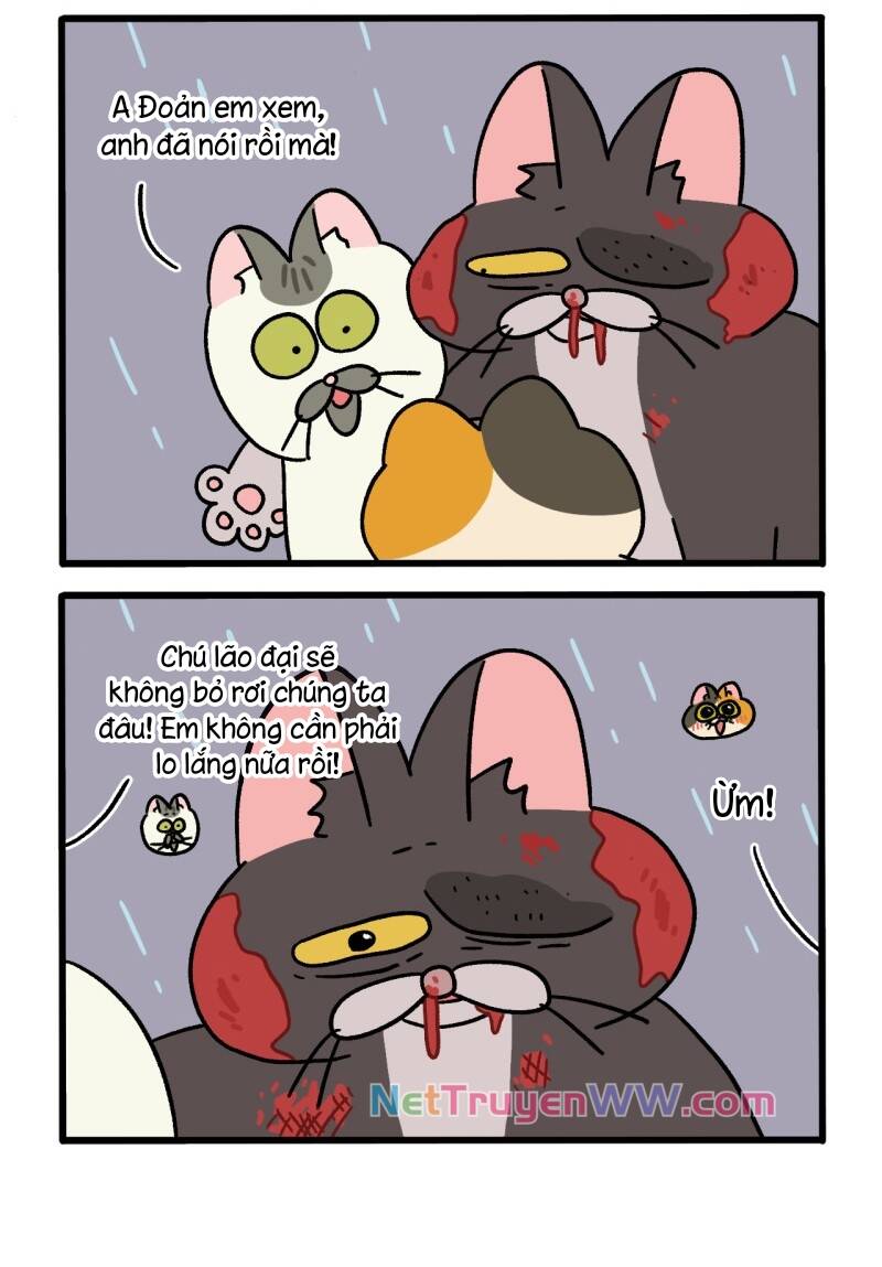 A Mãn Và Mạch Trà Chapter 50.7 - 4
