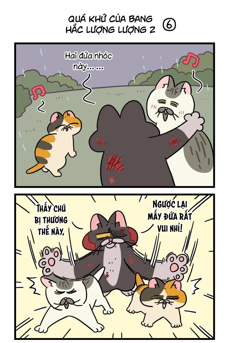 A Mãn Và Mạch Trà Chapter 50.7 - 5