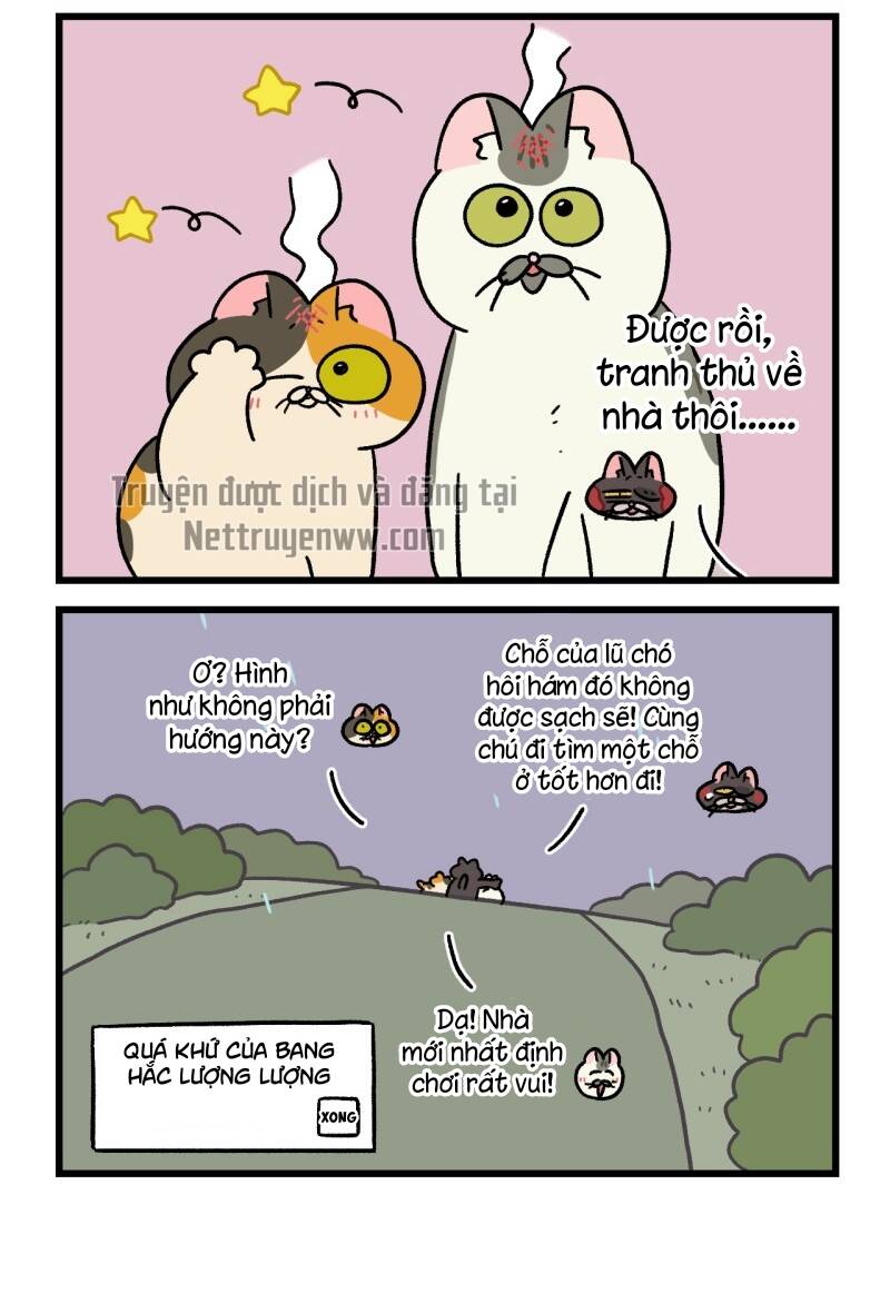 A Mãn Và Mạch Trà Chapter 50.7 - 6