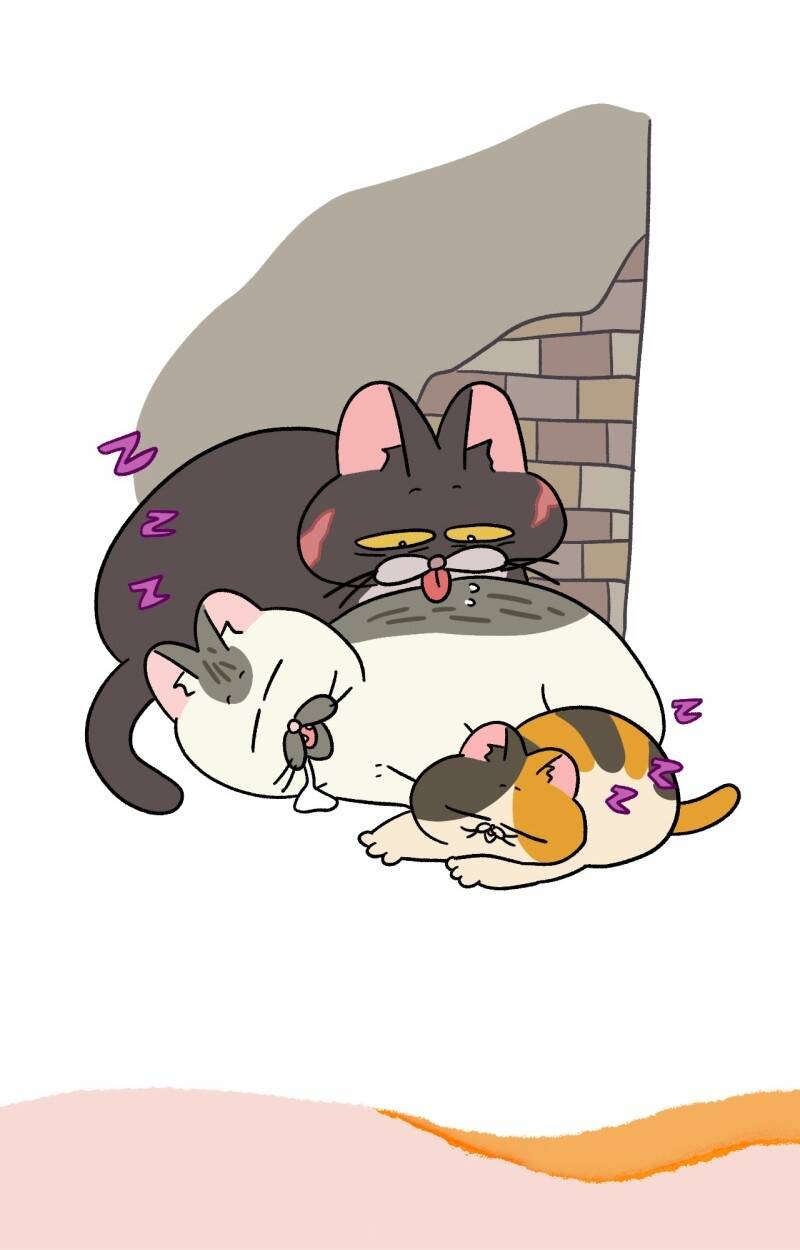 A Mãn Và Mạch Trà Chapter 50.7 - 7