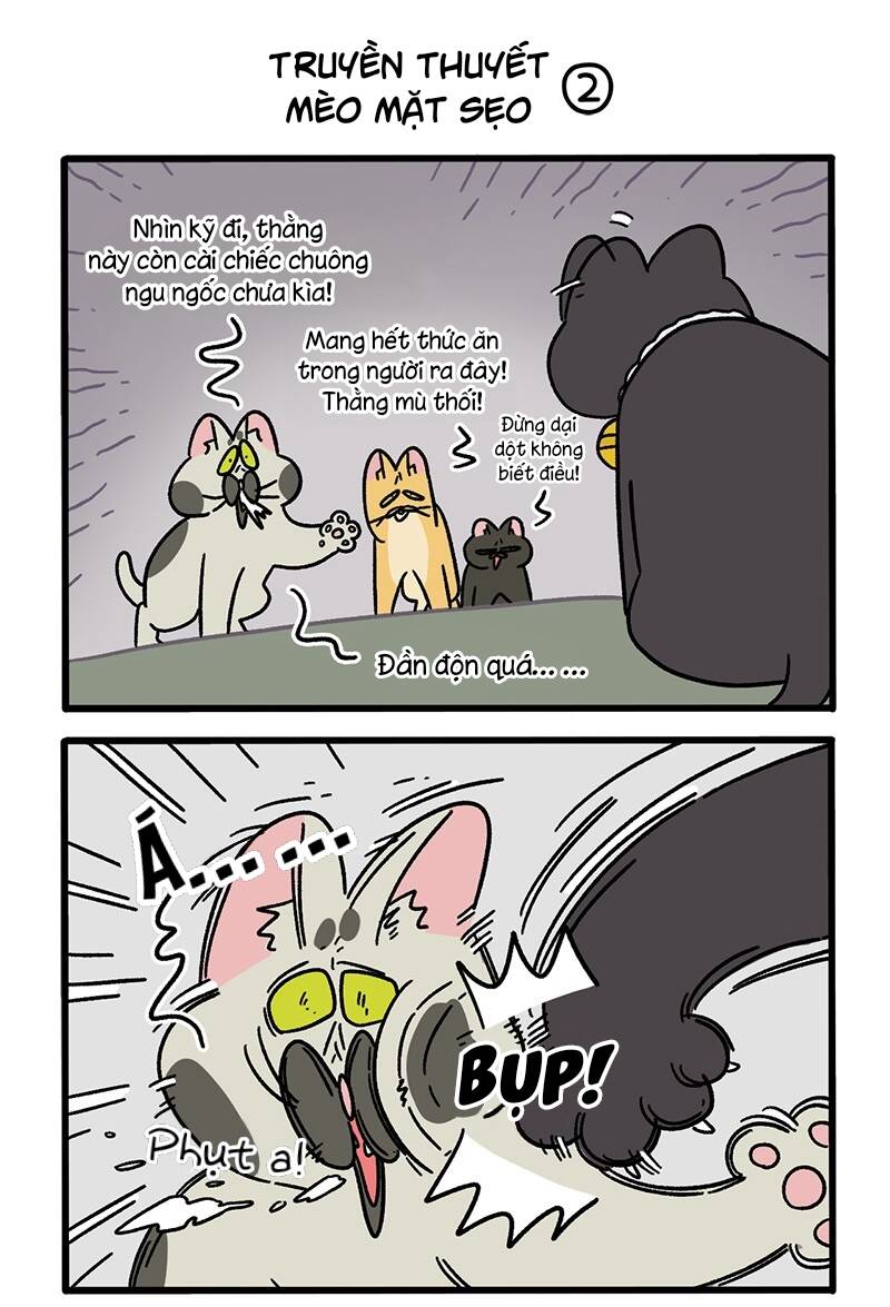 A Mãn Và Mạch Trà Chapter 50.8 - 3