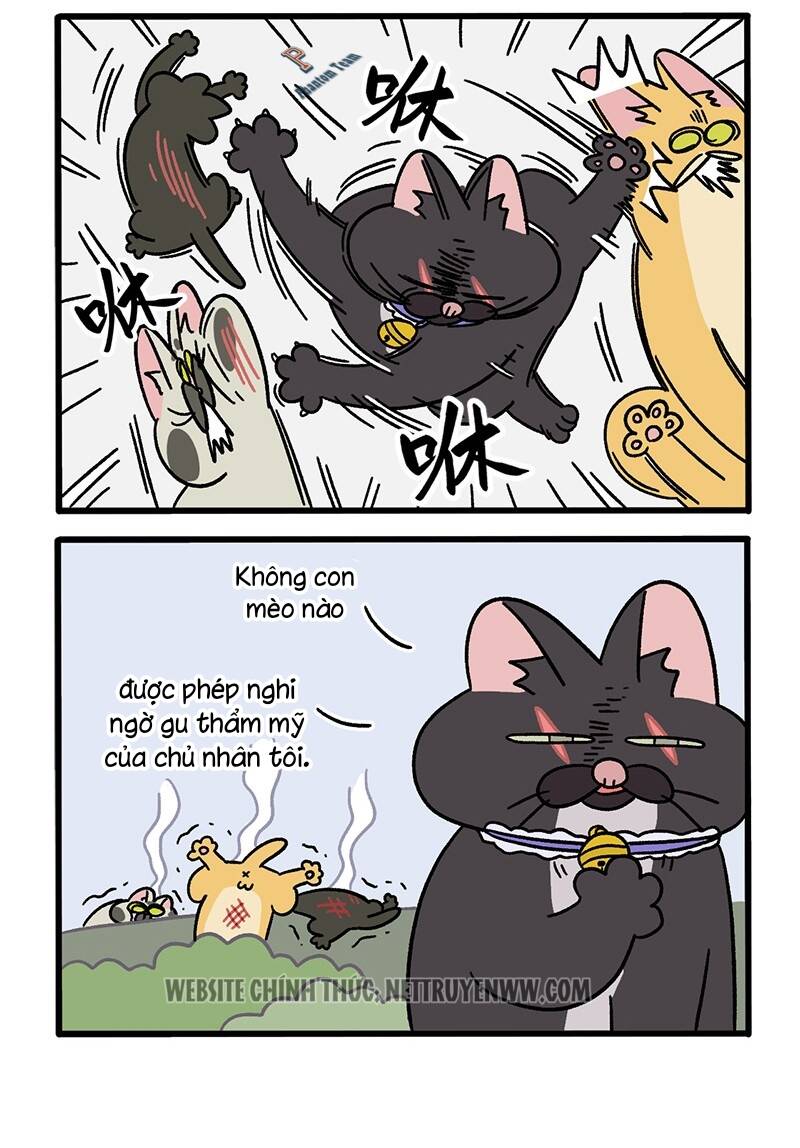 A Mãn Và Mạch Trà Chapter 50.8 - 4