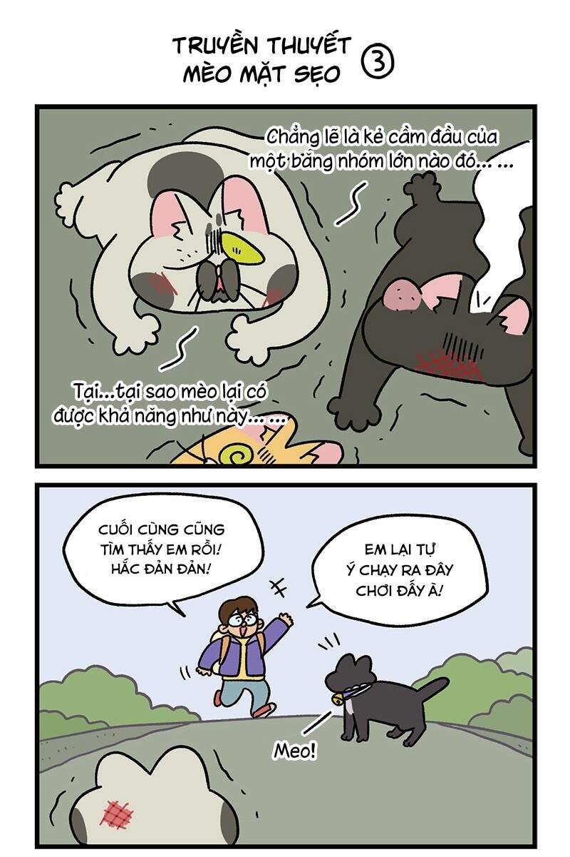 A Mãn Và Mạch Trà Chapter 50.8 - 5