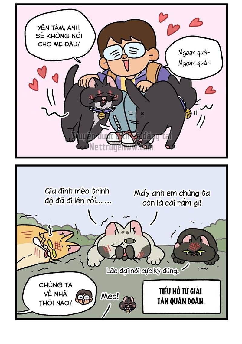 A Mãn Và Mạch Trà Chapter 50.8 - 6